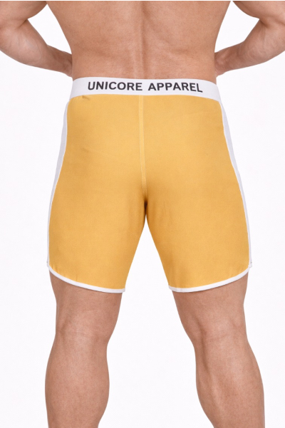 Sun Burst Board Shorts